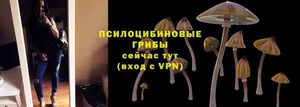 молекула духа Арсеньев