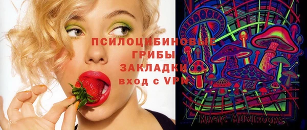 трава Балахна