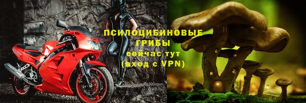 трава Балахна