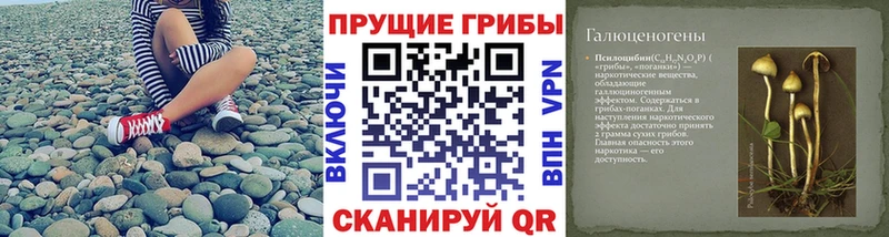цена наркотик  ОМГ ОМГ   Псилоцибиновые грибы MAGIC MUSHROOMS  Углегорск 